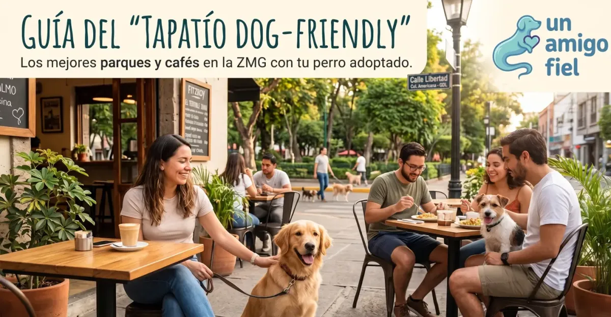 Guía del Tapatío Dog-Friendly: Parques y cafés en la ZMG para disfrutar con tu perro adoptado